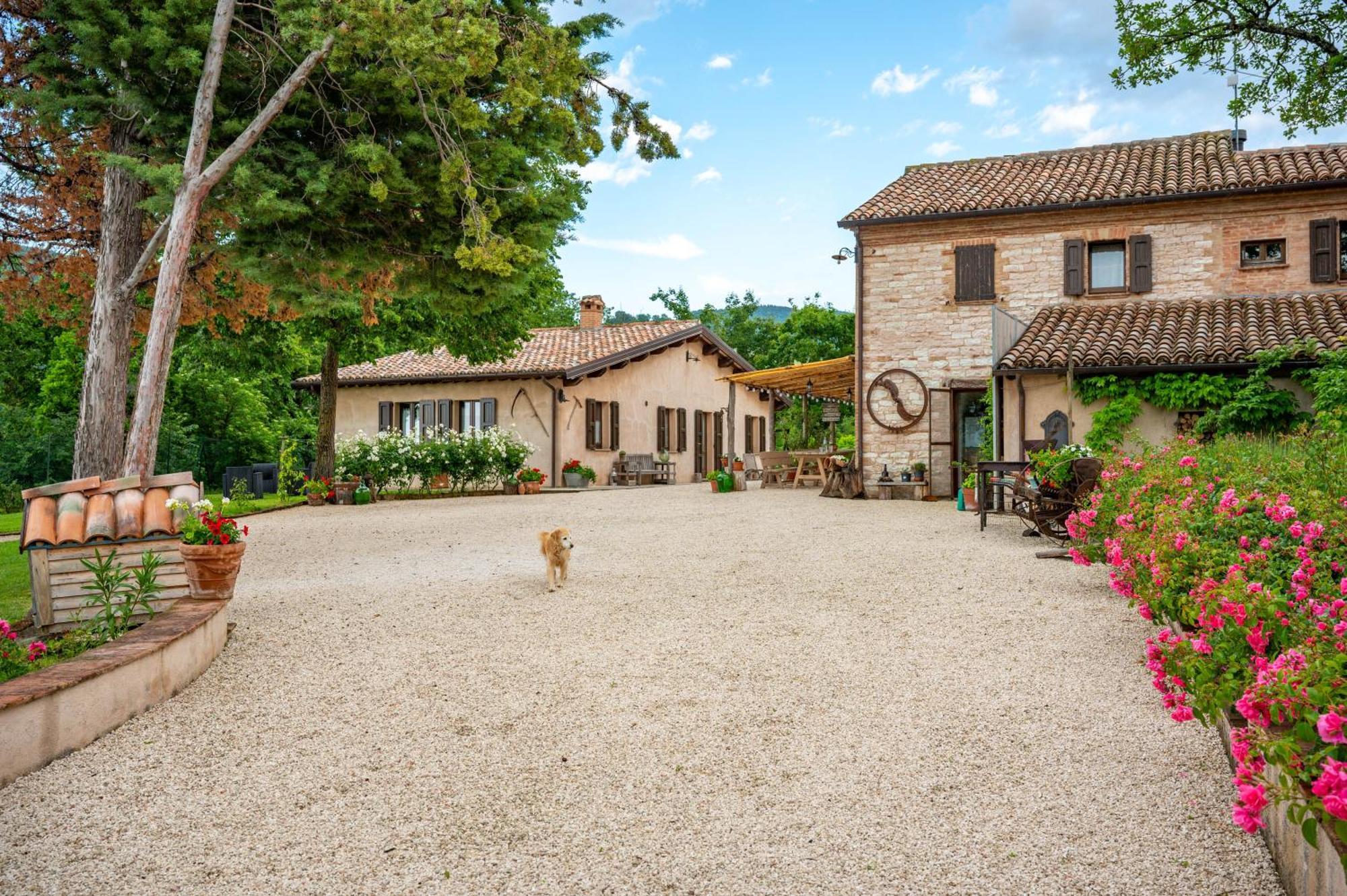 Agriturismo Il Castellaro Sassoferrato Kültér fotó