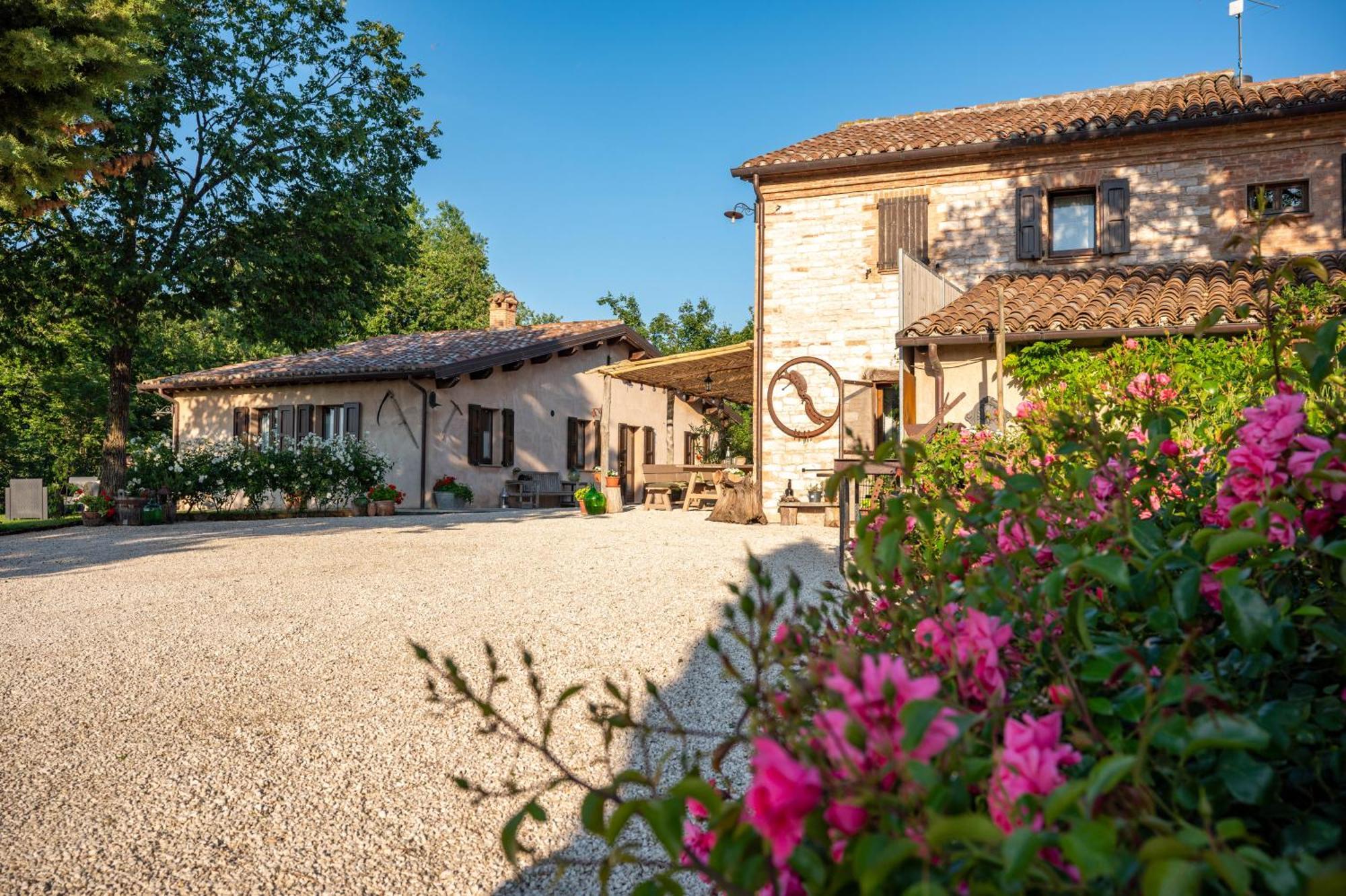 Agriturismo Il Castellaro Sassoferrato Kültér fotó